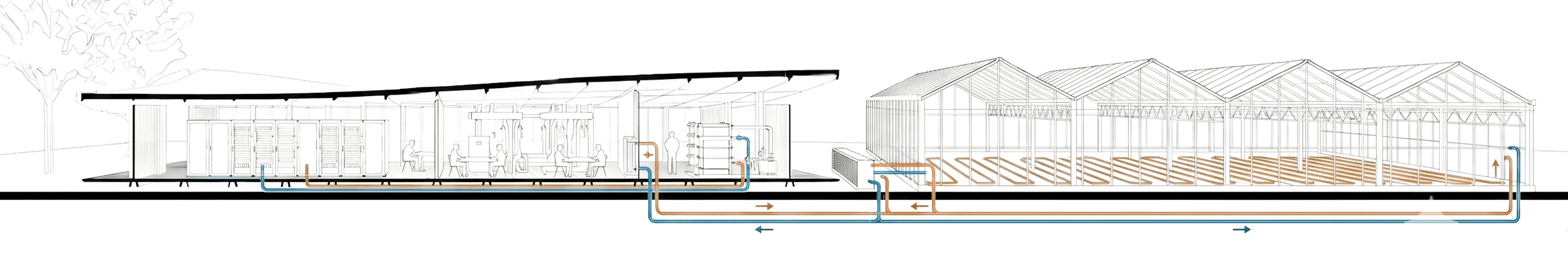 Section drawing of a MicroLink node passing recovered heat to a row of greenhouses through colour coded supply and return loops.